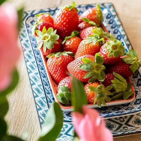 Casa E Vela Ξενοδοχείο με διαμερίσματα Oggebbio