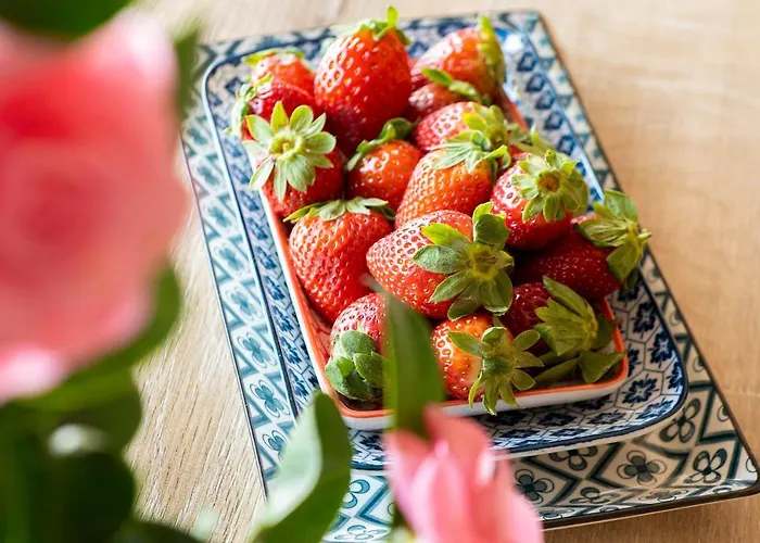 Casa E Vela 아파트호텔 오게비오